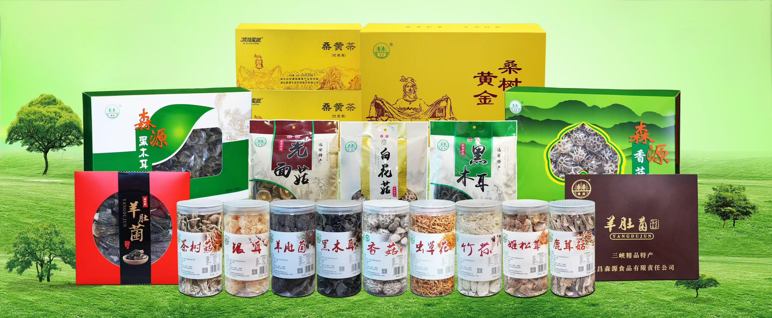 森源品牌產(chǎn)品全家福.jpg